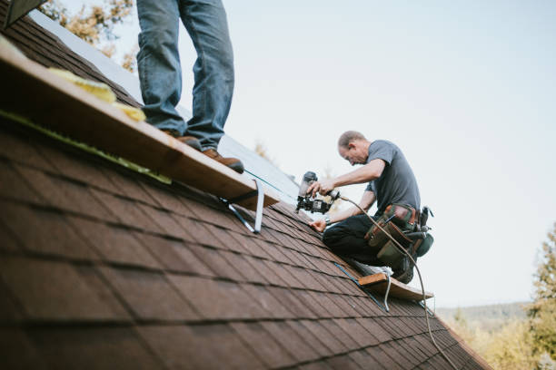 Quick and Trustworthy Emergency Roof Repair Services in Wyanet, IL